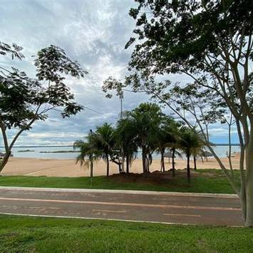 Vista clara da orla e coqueiros em Palmas, Tocantins